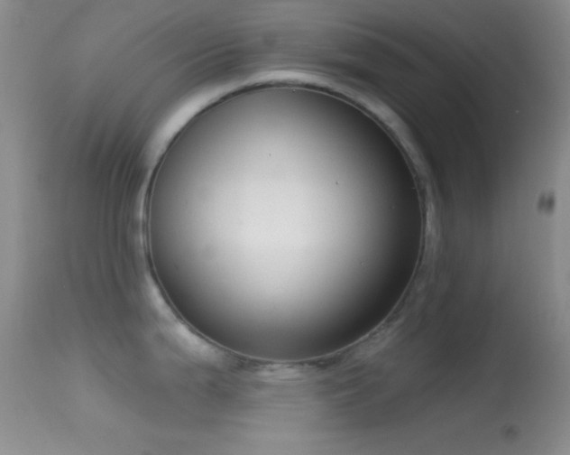 X0000114631199200910201413