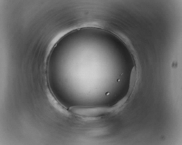 X0000114631200200910201413