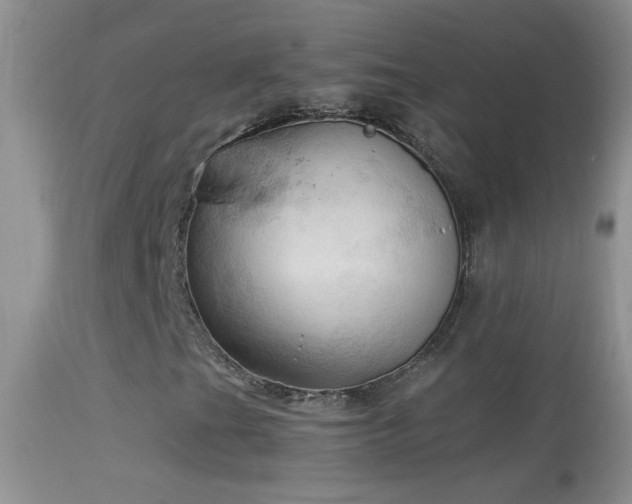 X0000114631201200910201412