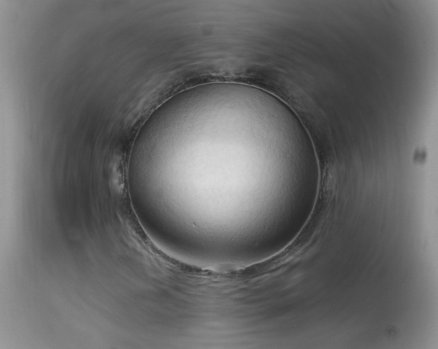 X0000114631202200910201412