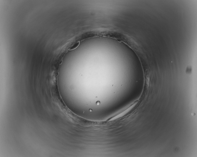 X0000114631204200910201412