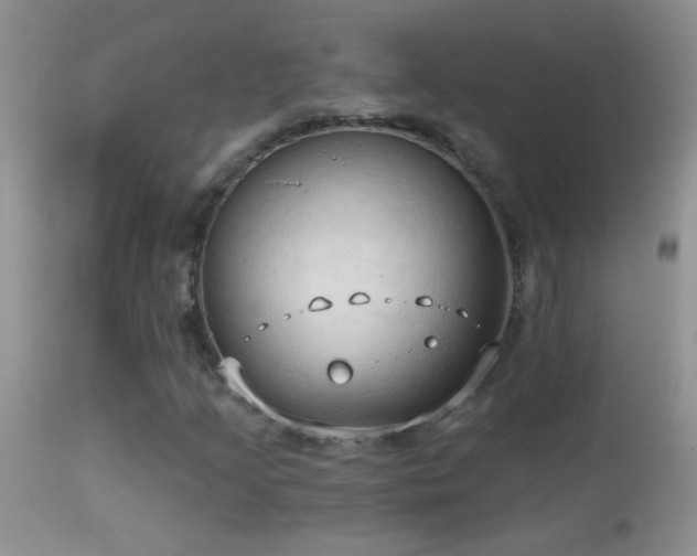 X0000114631205200910201412