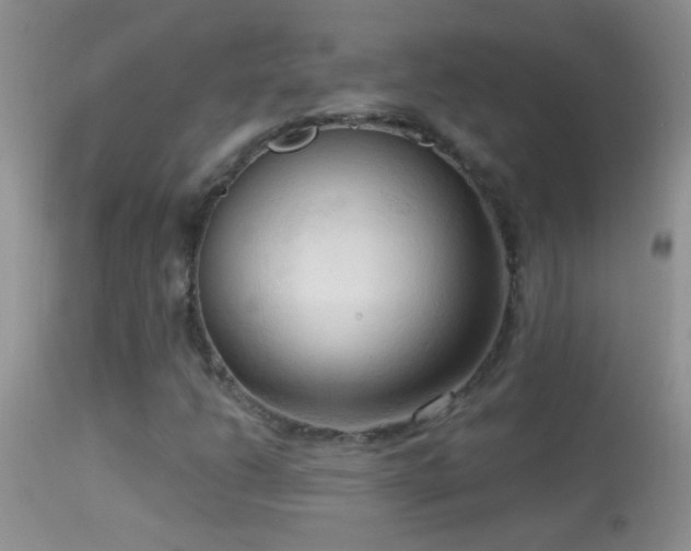 X0000114631206200910201412