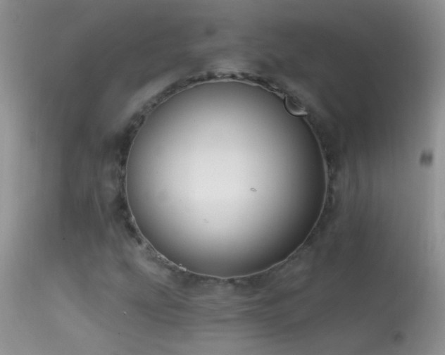 X0000114631207200910201412