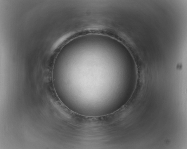 X0000114631208200910201412