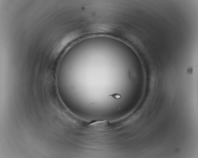 X0000114631210200910201412