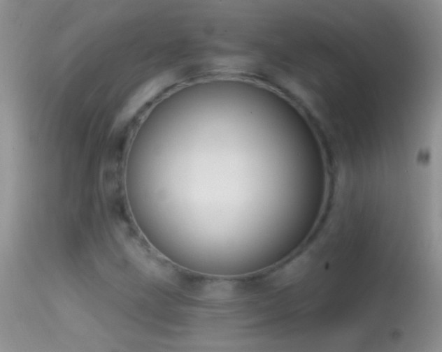 X0000114631211200910201412