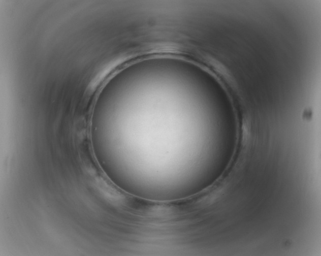 X0000114631212200910201412