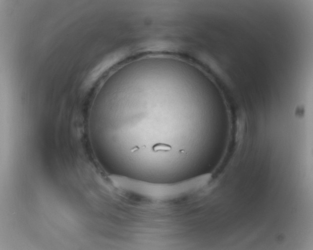 X0000114631213200910201412