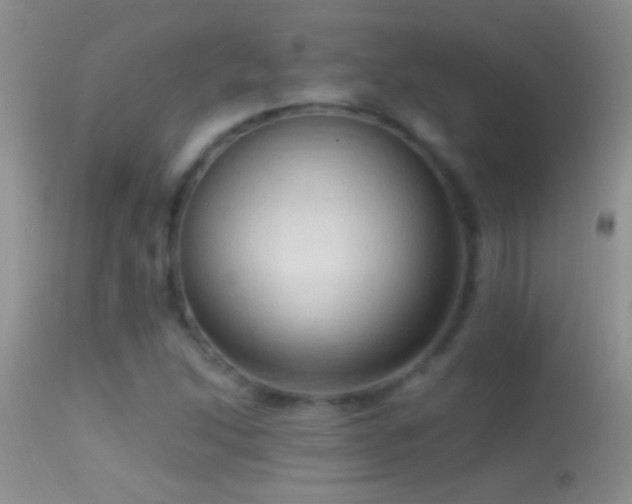 X0000114631214200910201412