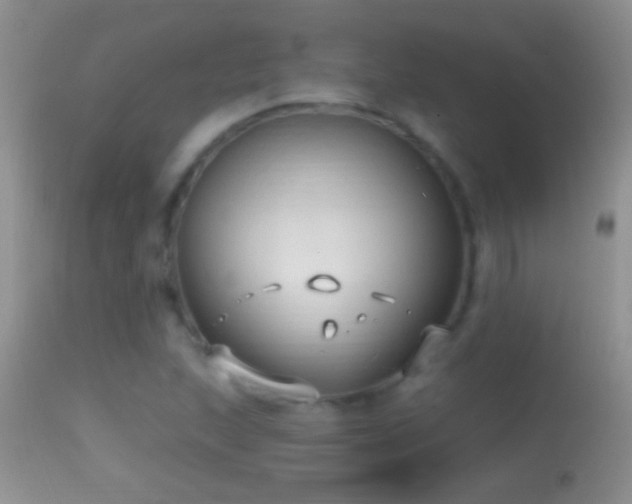 X0000114631215200910201412