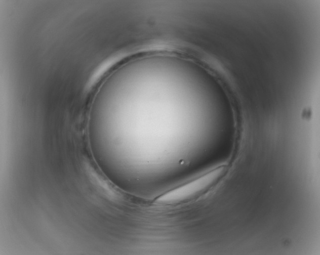 X0000114631216200910201412