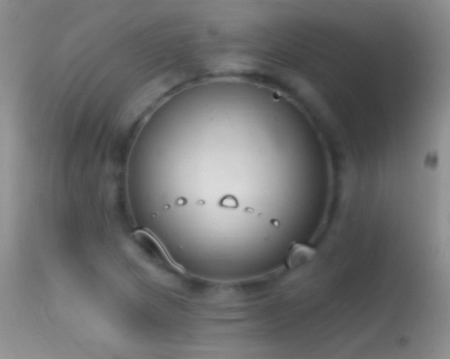 X0000114631217200910201412