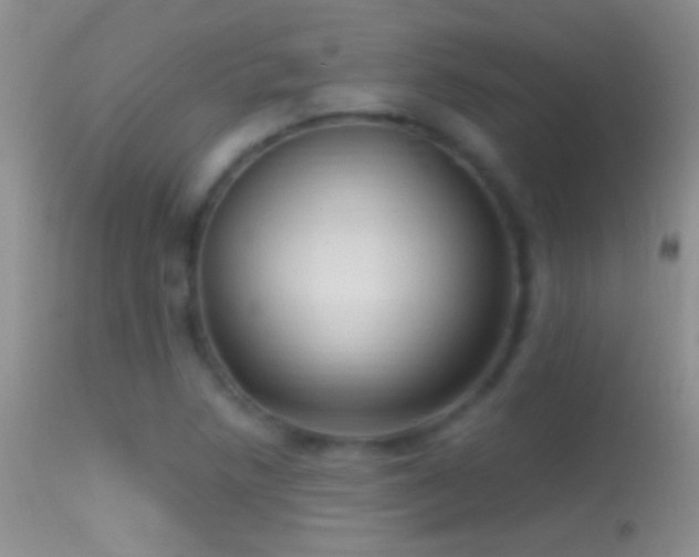 X0000114631218200910201412