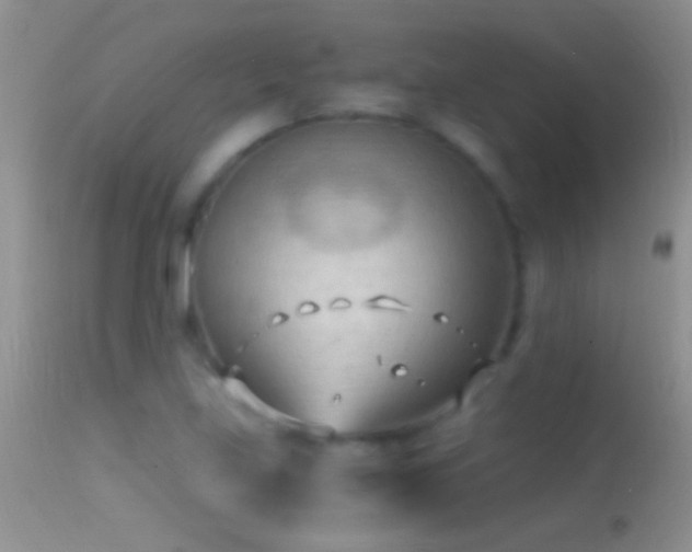 X0000114631219200910201412