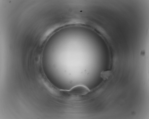 X0000114631220200910201412