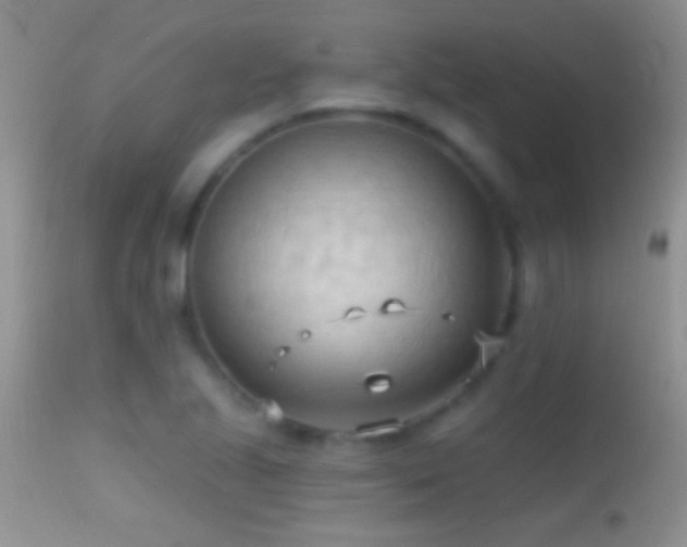 X0000114631221200910201412