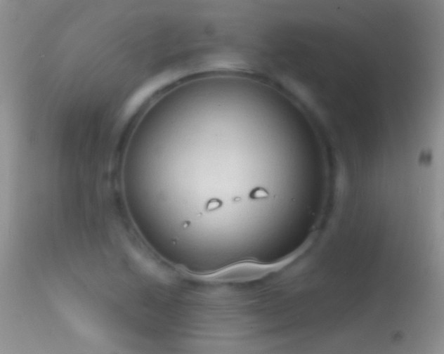 X0000114631222200910201412