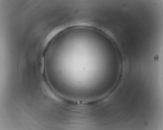 X0000114631223200910201412