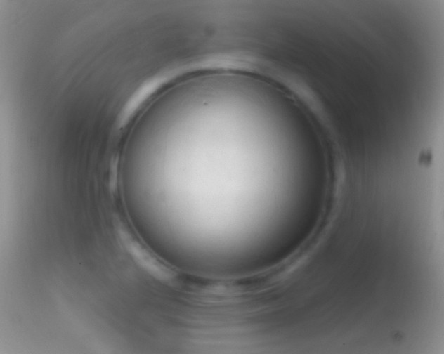 X0000114631224200910201412