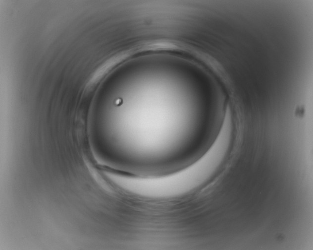 X0000114631225200910201412