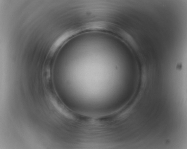 X0000114631226200910201412