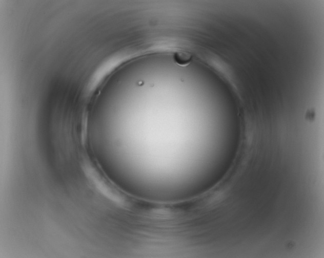 X0000114631227200910201412