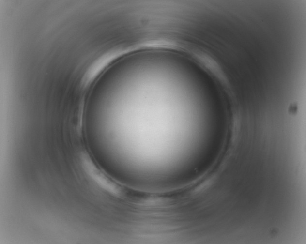 X0000114631228200910201412