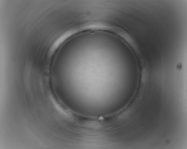 X0000114631229200910201412