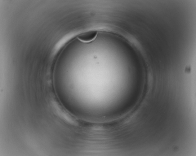 X0000114631230200910201412