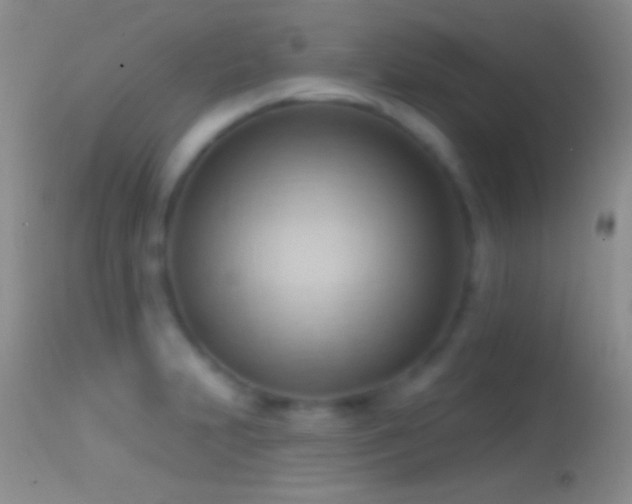 X0000114631231200910201412