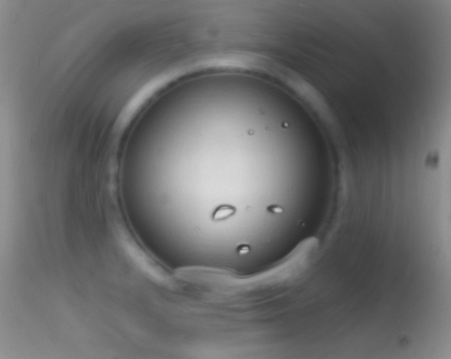 X0000114631232200910201412