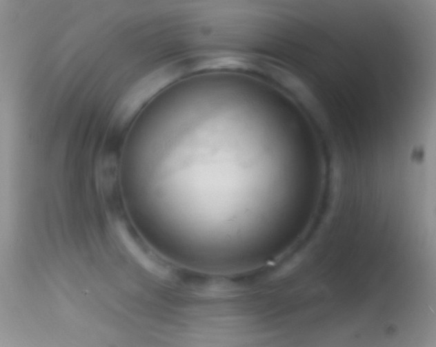 X0000114631233200910201412