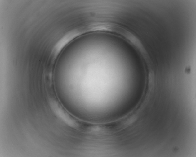 X0000114631234200910201412