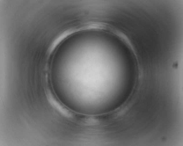 X0000114631235200910201412