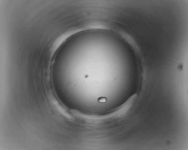 X0000114631236200910201412