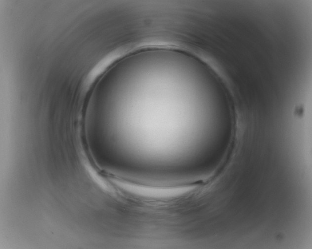 X0000114631237200910201412