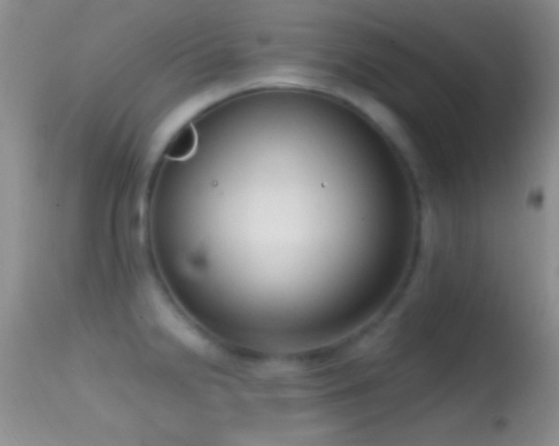 X0000114631238200910201412