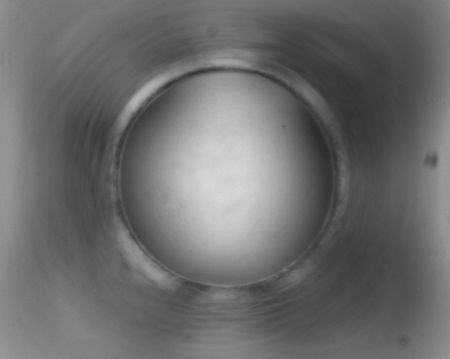 X0000114631240200910201413