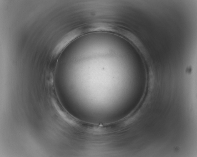 X0000114631241200910201413