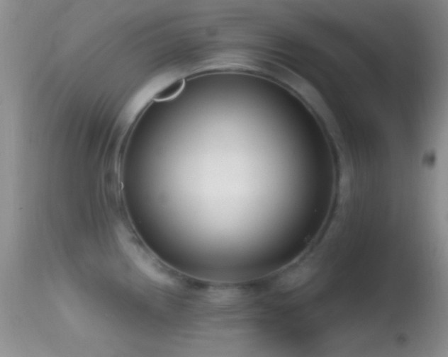 X0000114631242200910201413