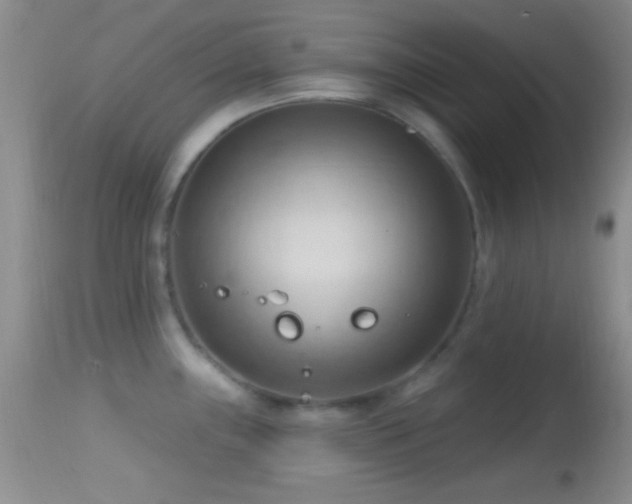 X0000114631243200910201413