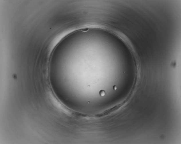 X0000114631244200910201413