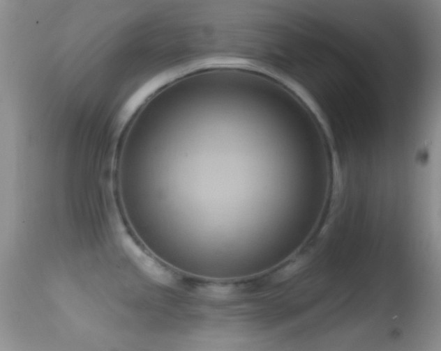 X0000114631245200910201413