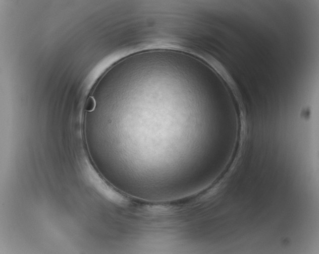 X0000114631246200910201413