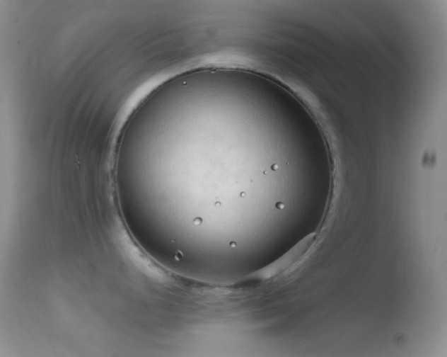 X0000114631248200910201413