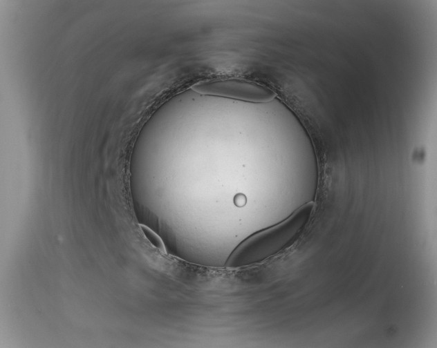 X0000114631249200910201412