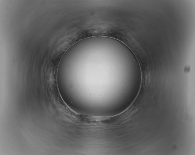 X0000114631250200910201412