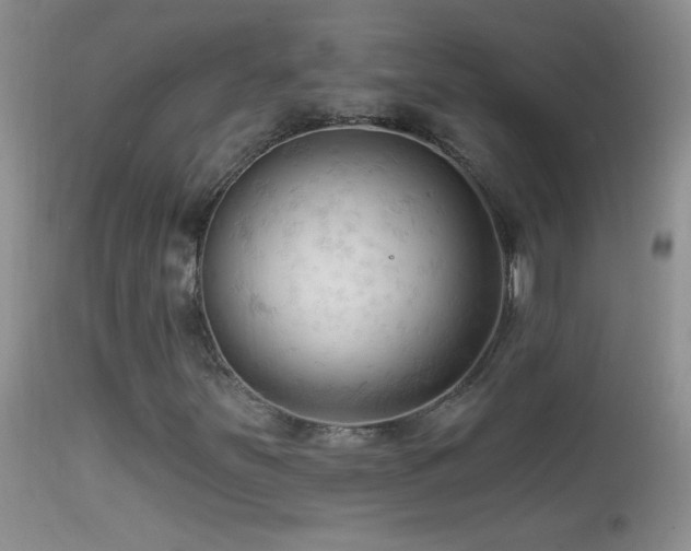 X0000114631251200910201412