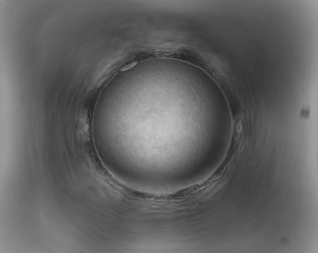 X0000114631252200910201412